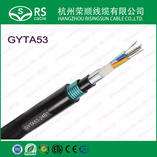 광섬유 케이블 Gyxtc8s/GYTY53/GYTA53/GYTS/ADSS 광섬유 케이블